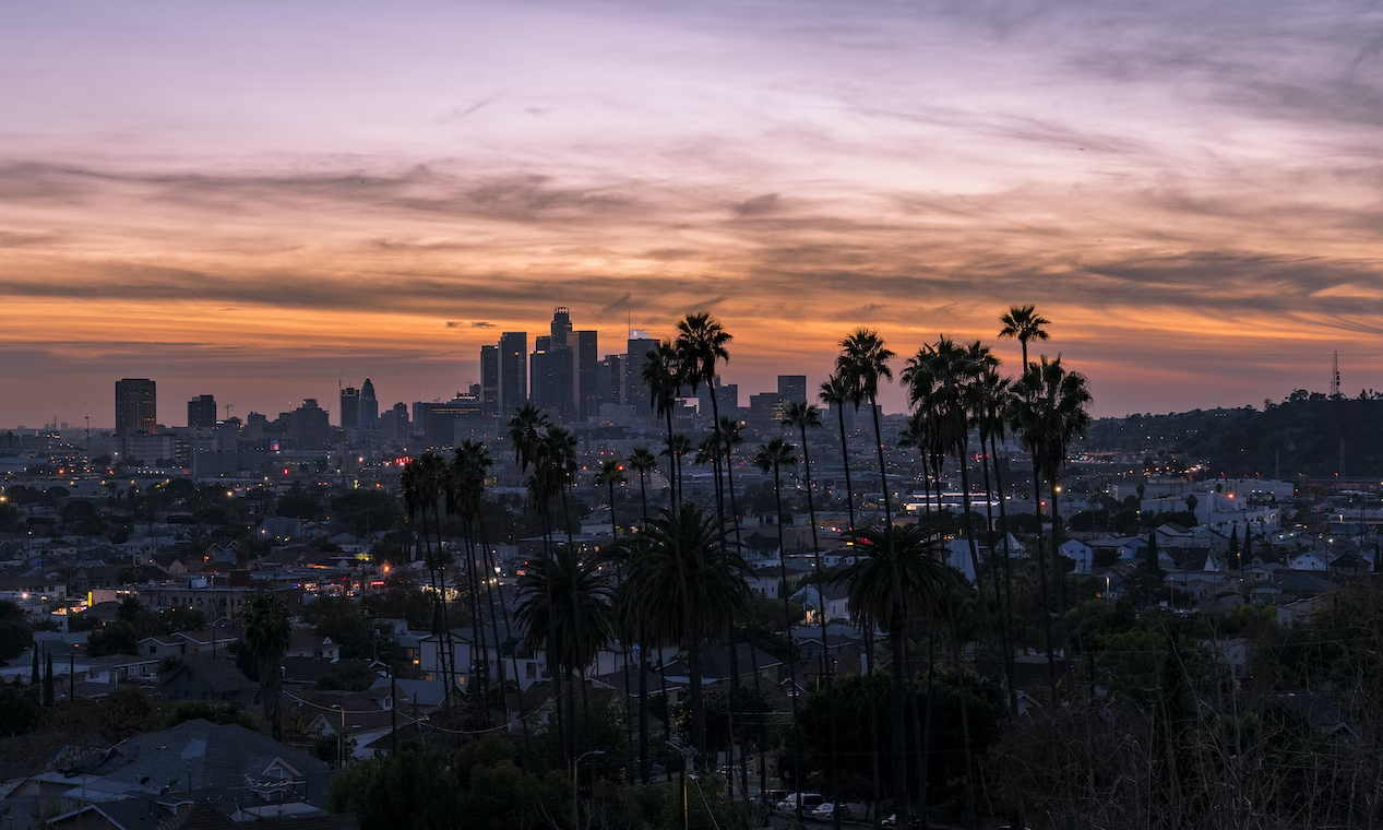 document management systems in los angeles